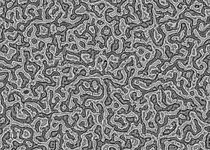 Morphogenesis