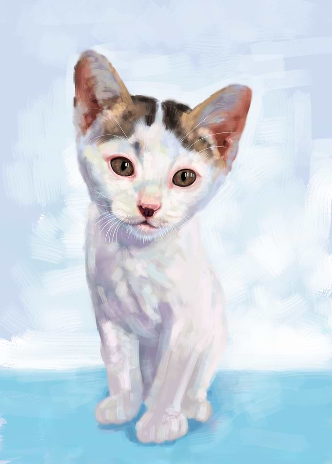 Adorable white kitten