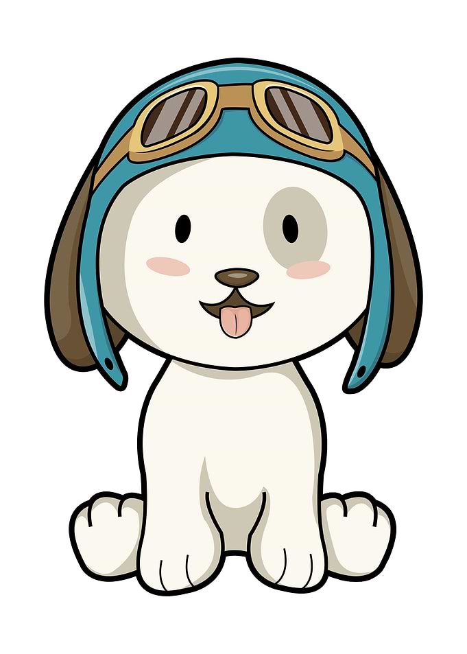 Dog Aviator Hat Glasses