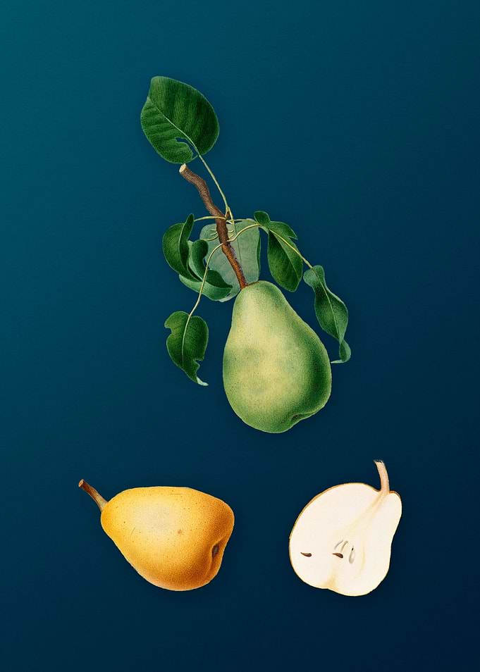 Vintage Winter Citron Art