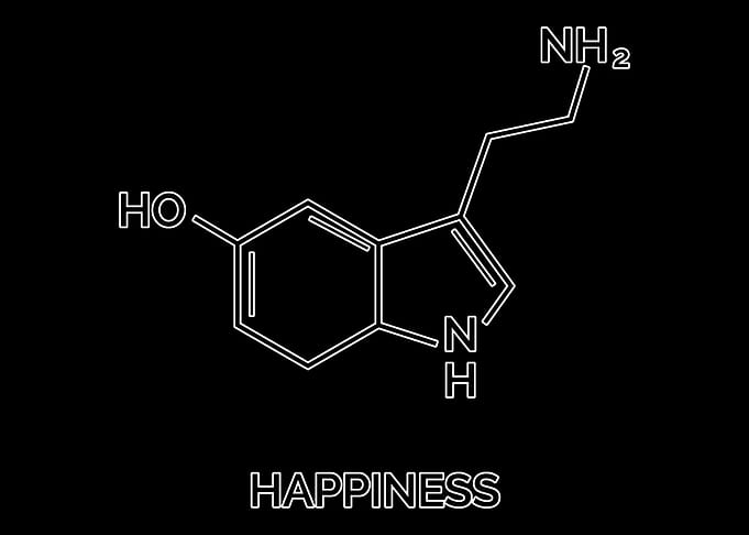 Happiness Hormones Chemist