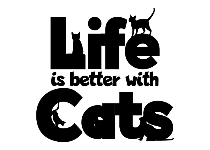 cat love gift