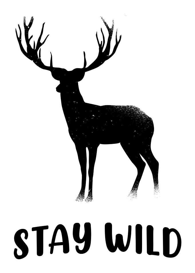 Deer gift