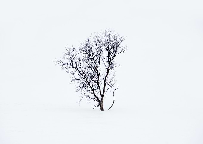 Solitude