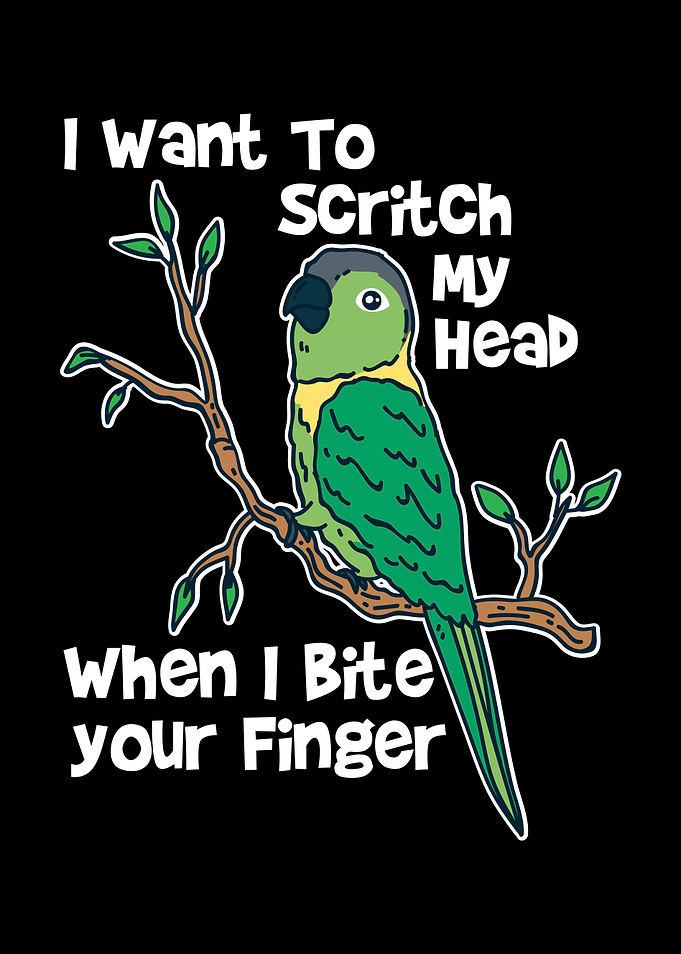 Conure Bird