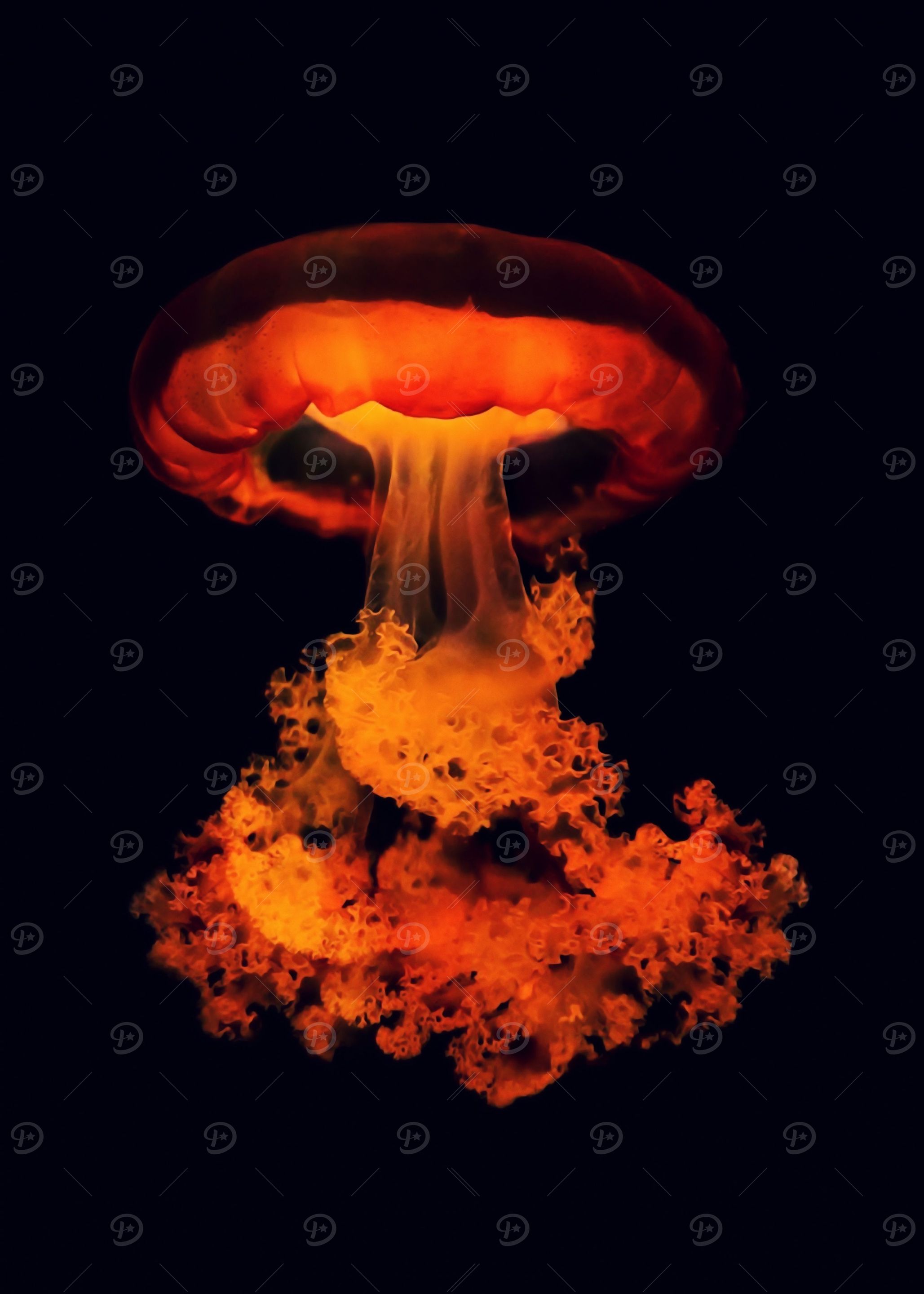 Jellyfish with tentacles