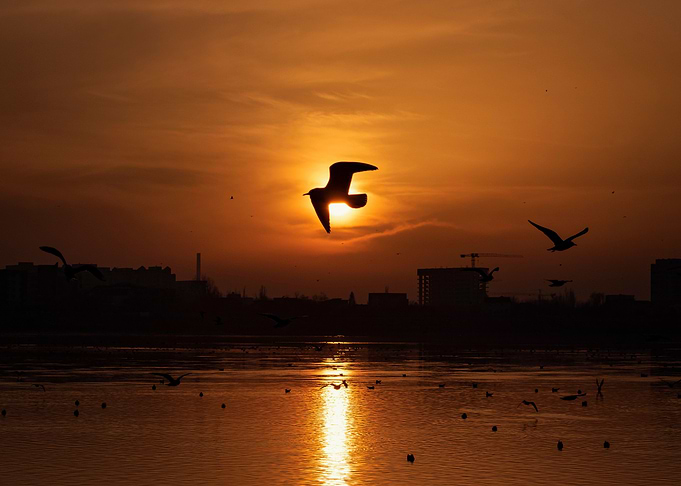 Sunset Moments