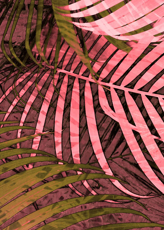 TROPICAL POPPY PINK3