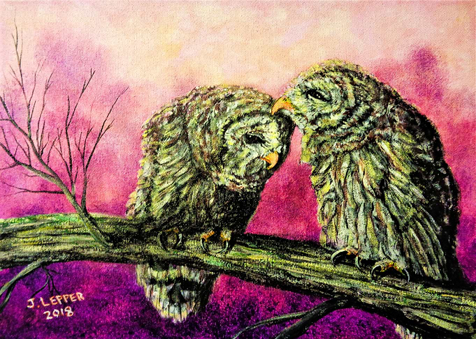Loves a Real Hoot