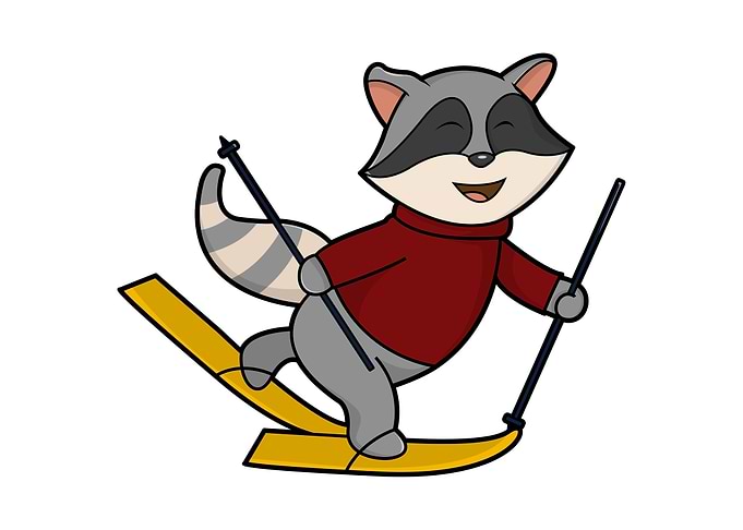 Raccoon Skier Skis