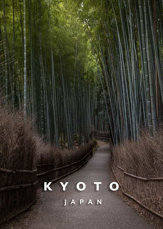 Arashiyama Bamboo forest