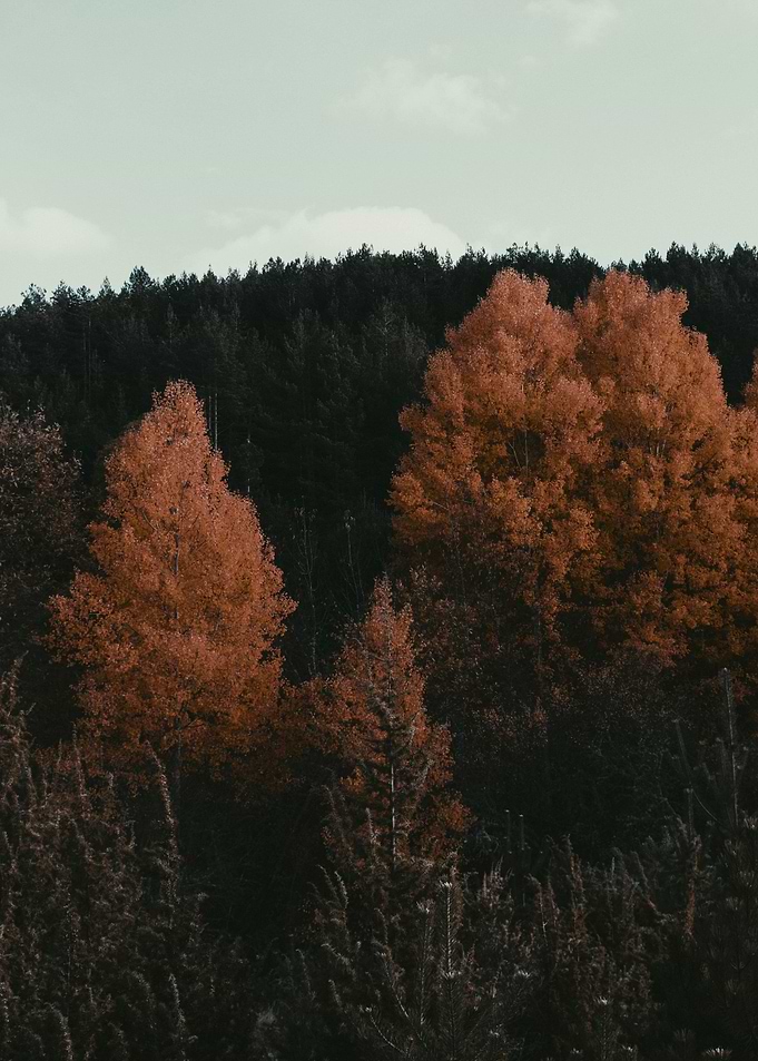 The Change