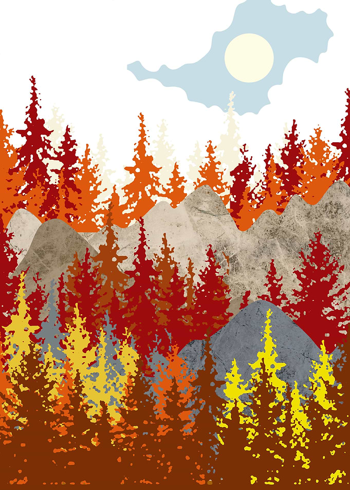 Autumn Woodland