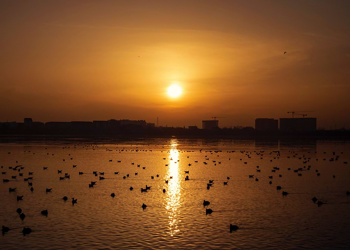 Another Sunset