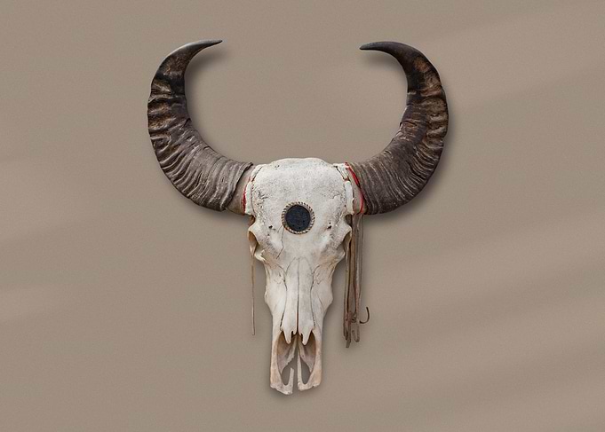 Boho Skull