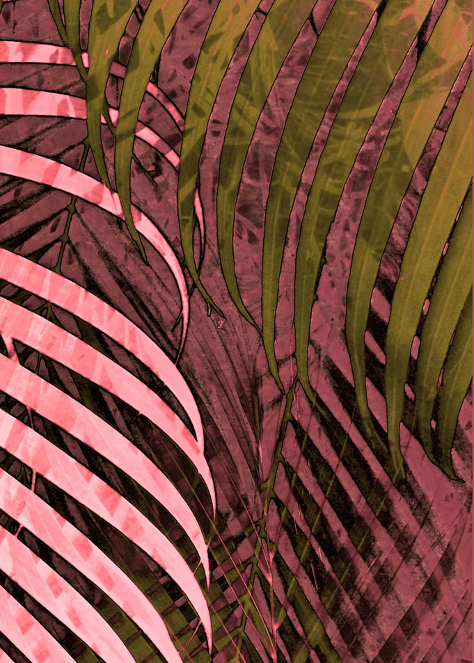TROPICAL POPPY PINK1