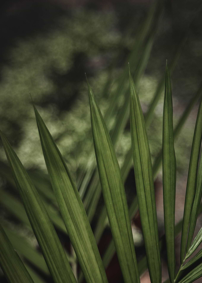 Natural details