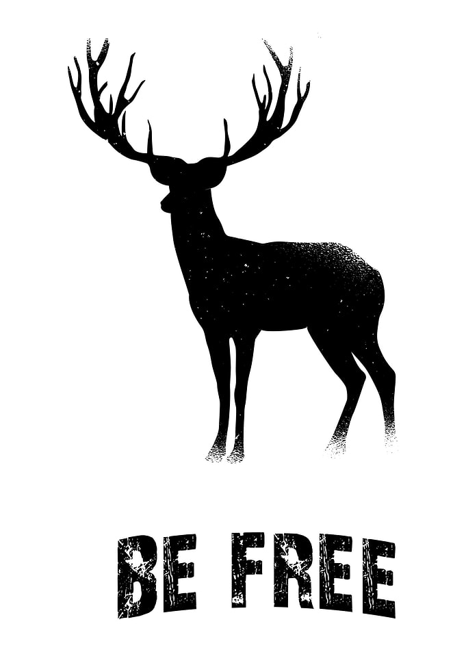 Roebuck gift