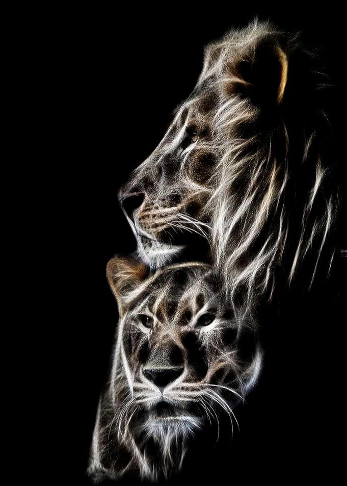 Fractal Tiger and Lion Hug