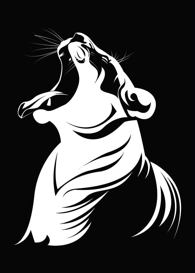 lioness