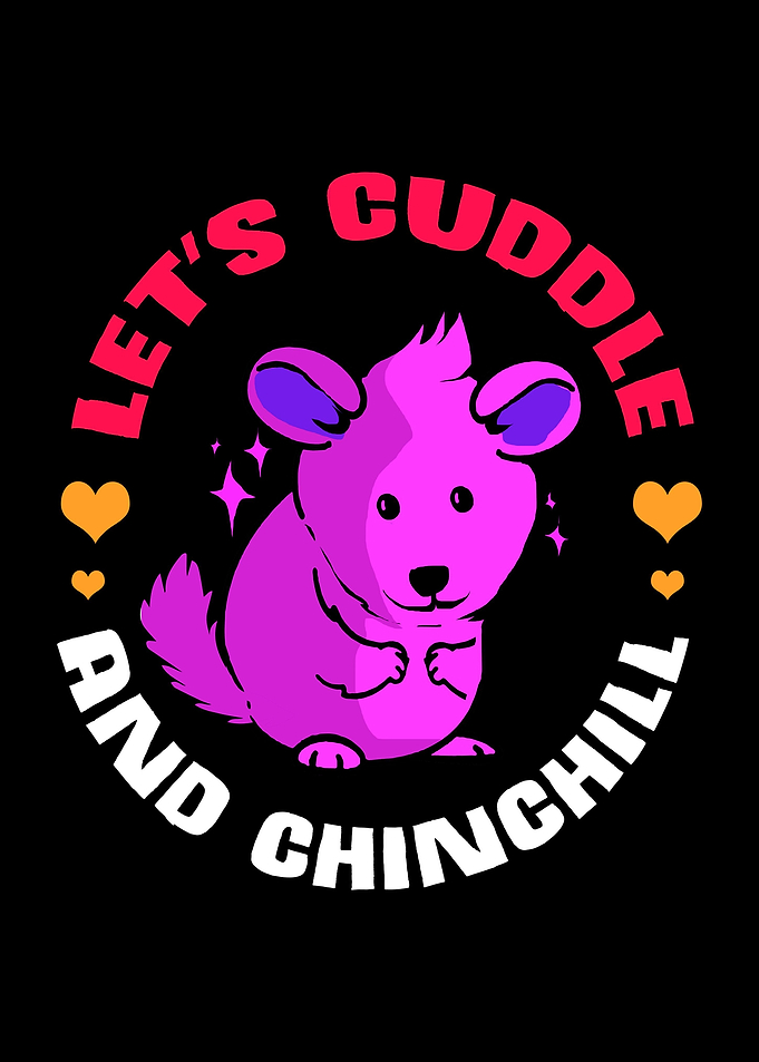 Chinchilla Cuddle Pet