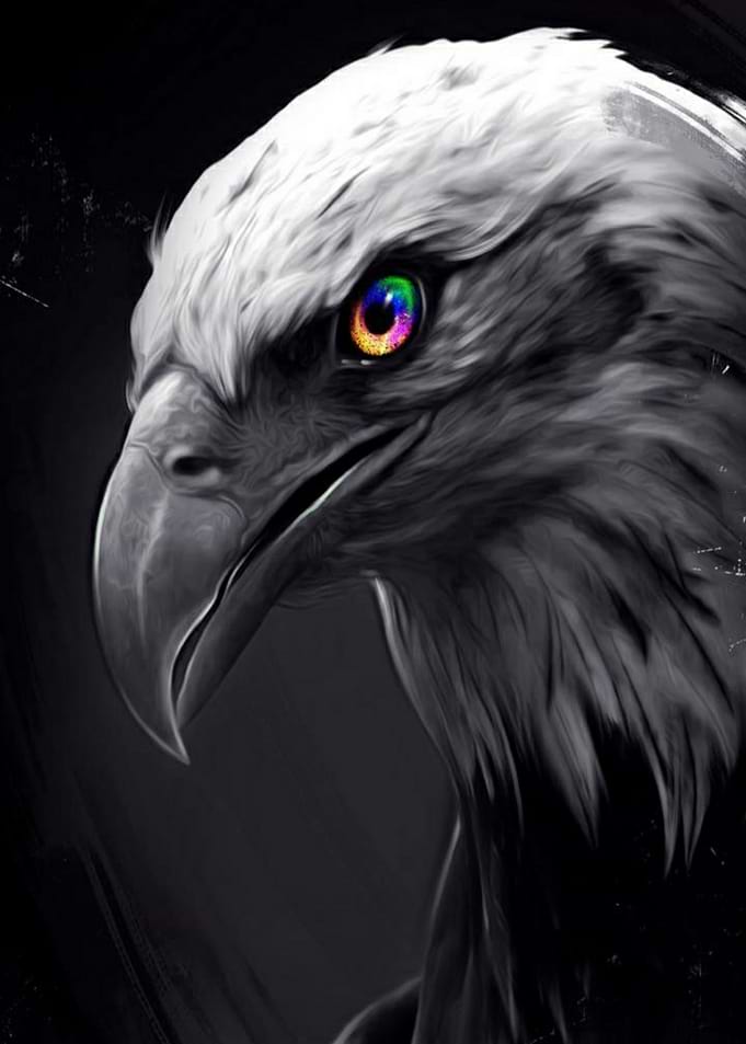 Eagle king