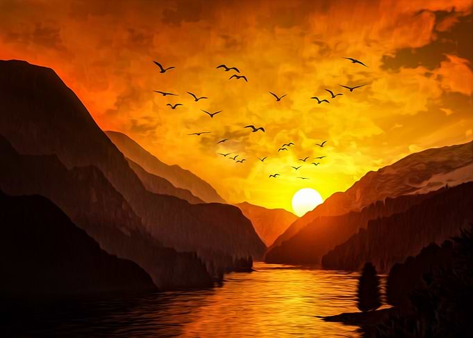 Wild Sunset