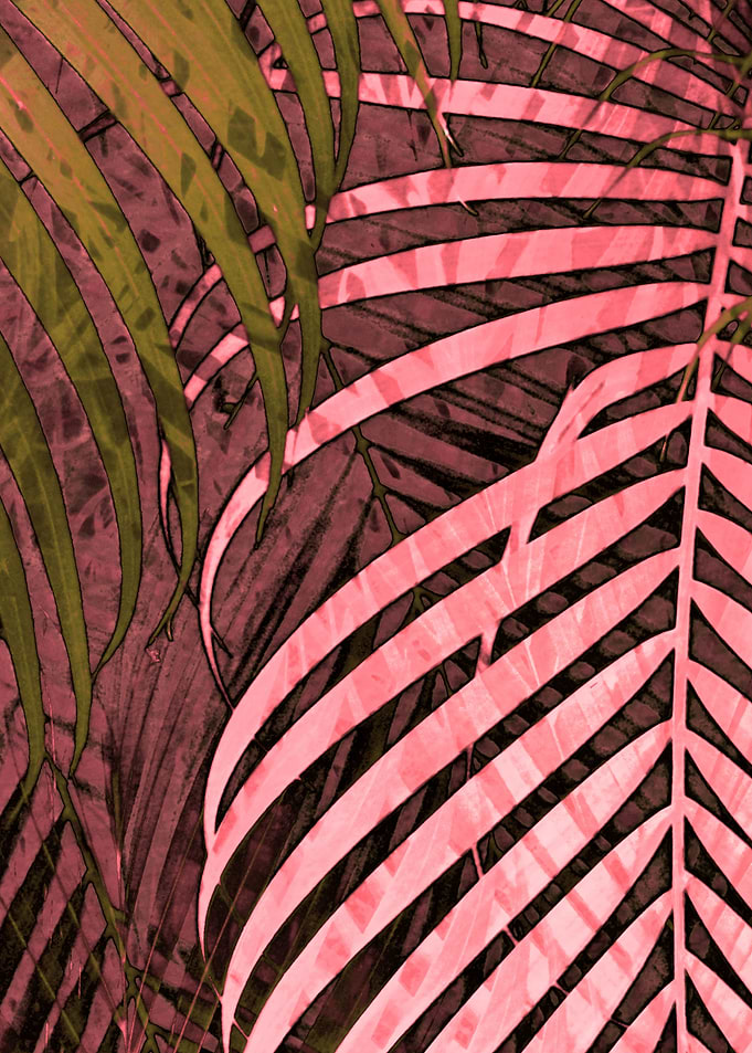 TROPICAL POPPY PINK2