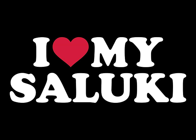 Saluki