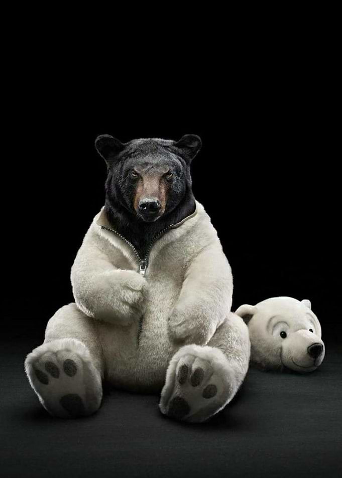 Fake Polar bear
