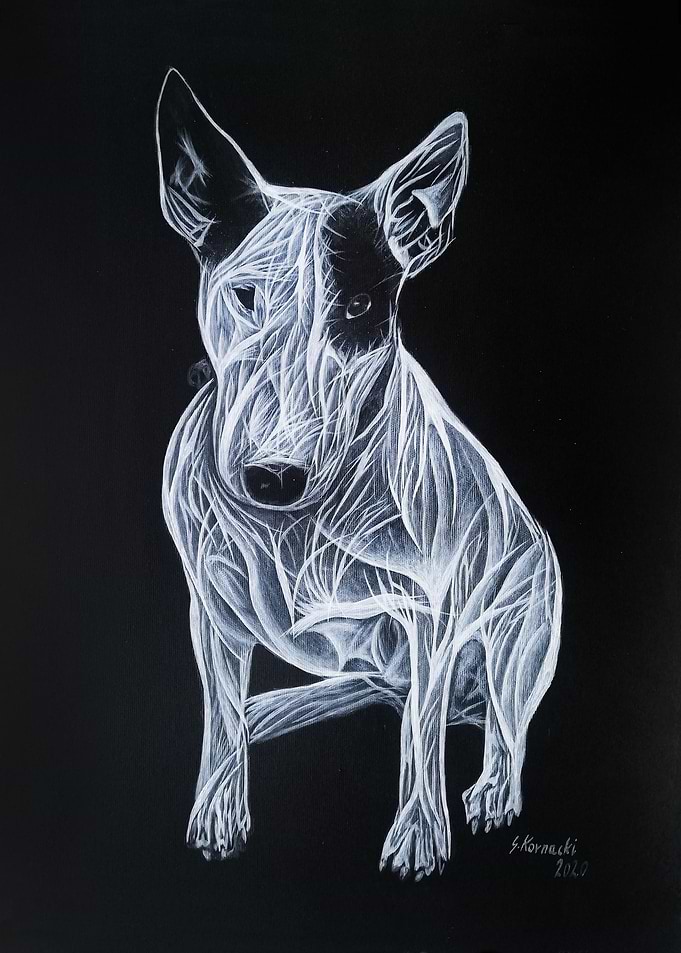 Fractal Bullterrier 6
