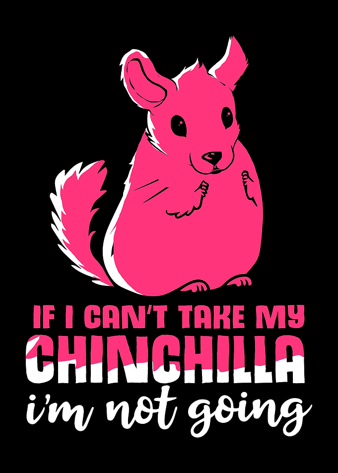 Chinchilla Not Going Pet