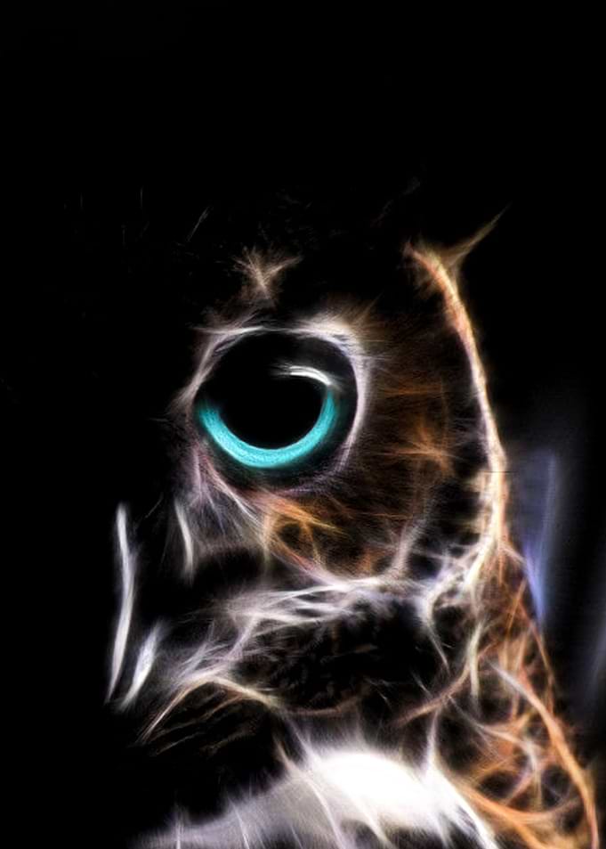 Fractal Owl Eye Blue