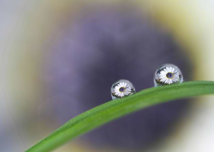 Blue eyes