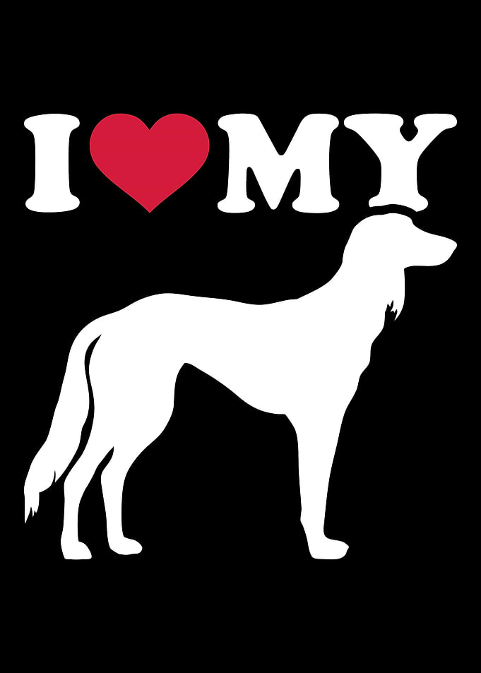 Saluki
