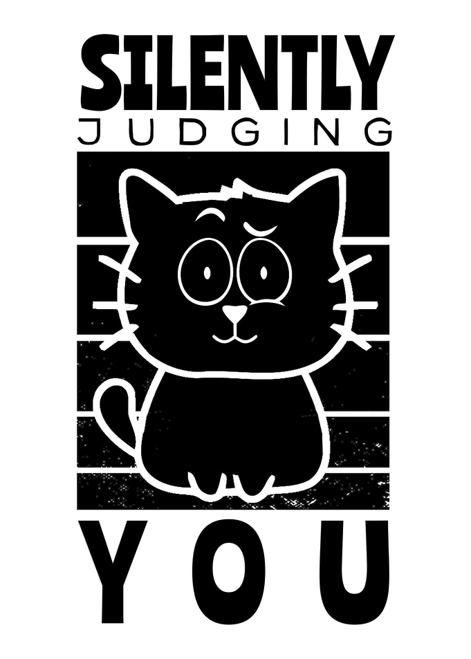 Silently Judging you gift