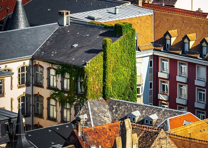 Strasbourg top