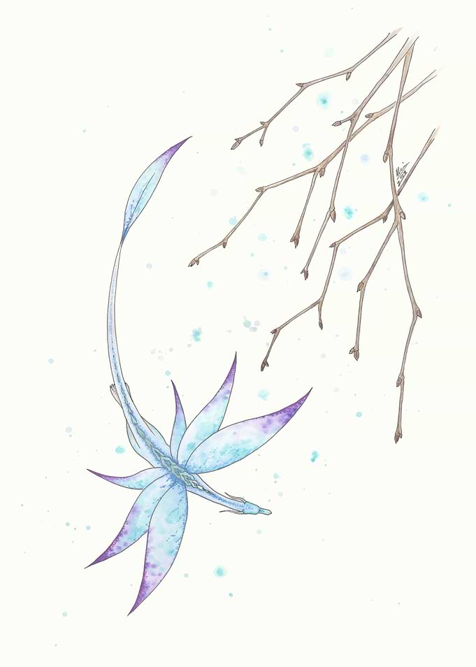 Winter