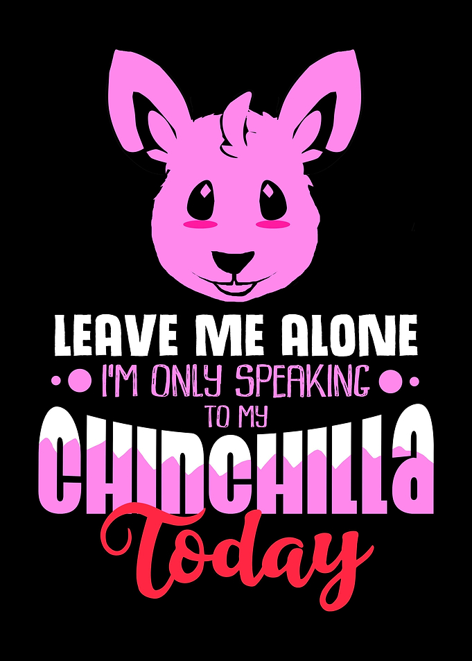 Chinchilla Leave Alone Pet