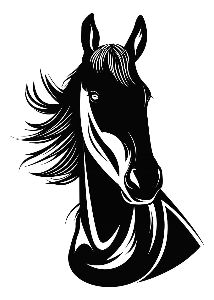 horse