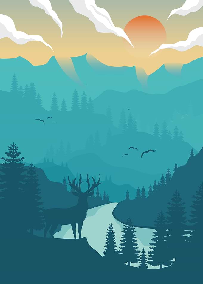 A Morning in Forest