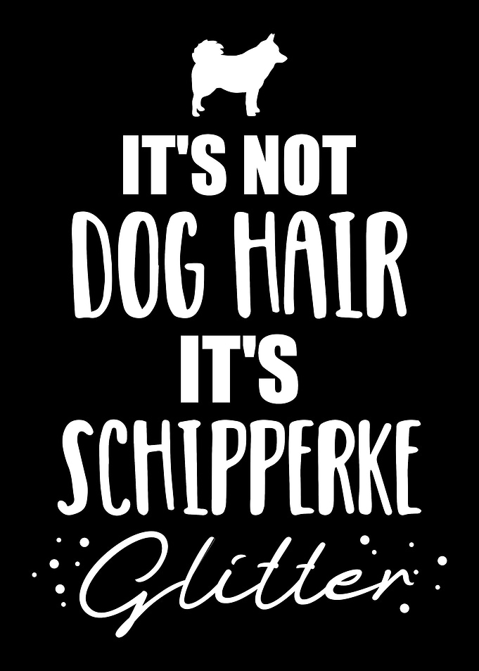 Schipperke