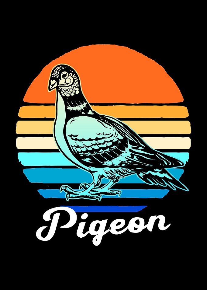 Retro Pigeon