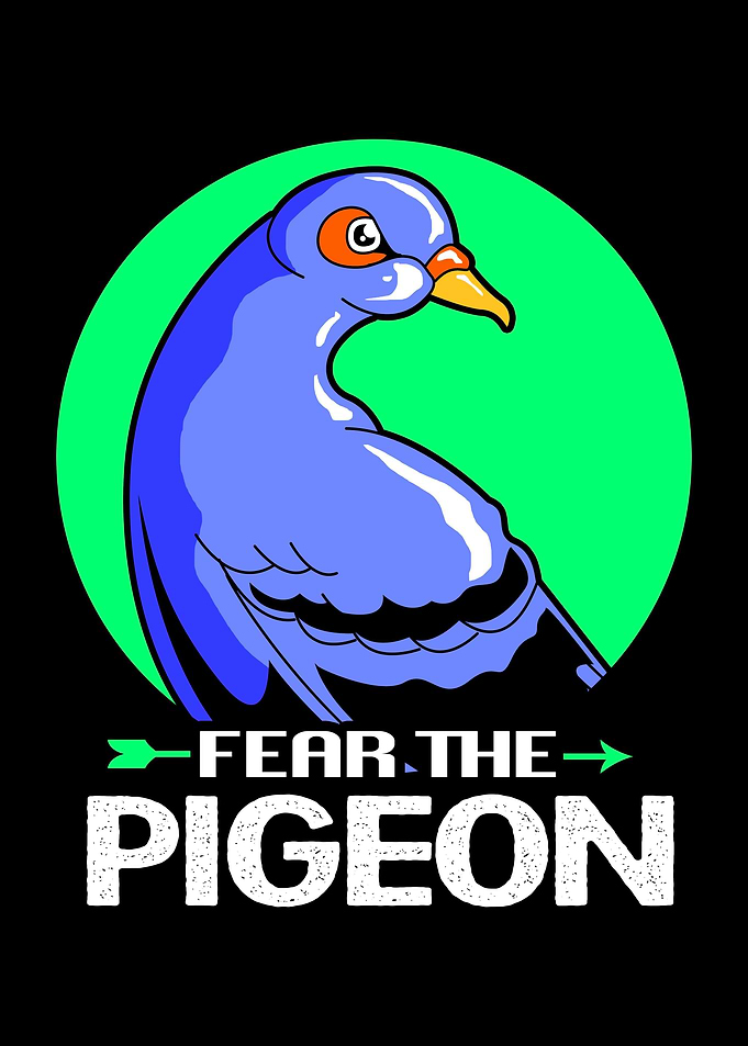 Pigeon Funny Bird