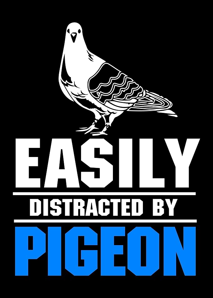 Pigeon Funny Bird