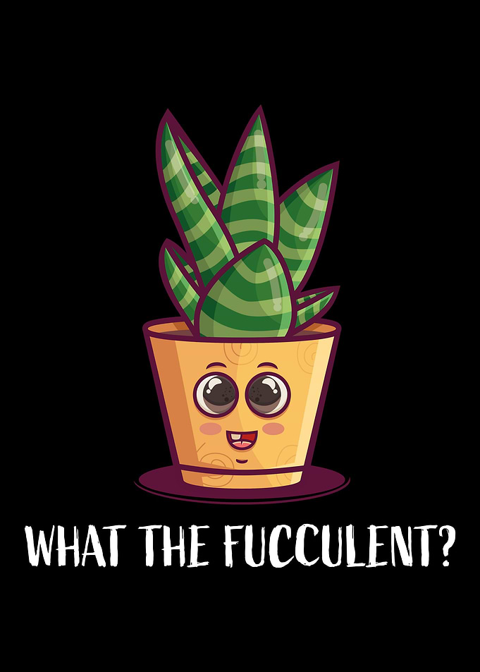 Aloe Vera Garden Plant Flo
