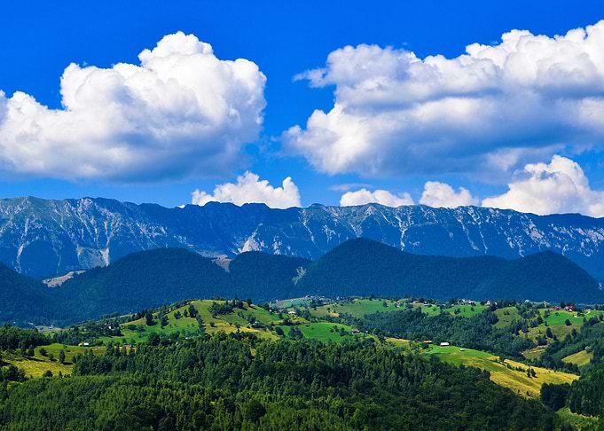 Green Panorama