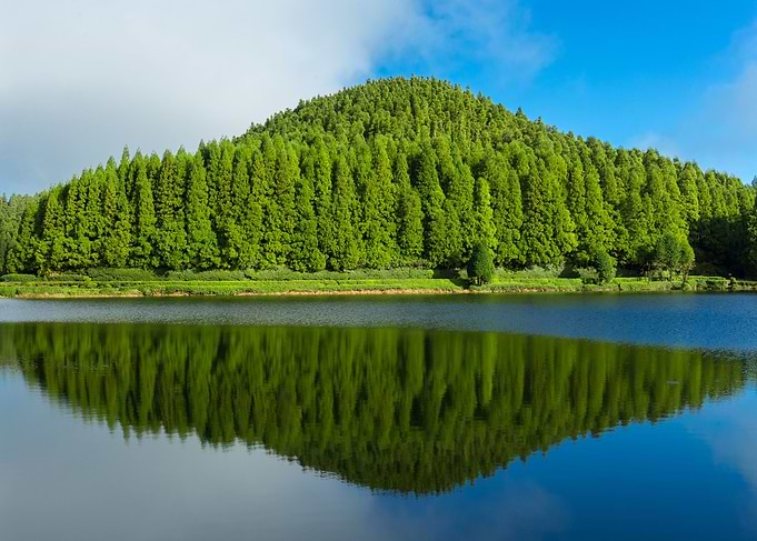 Empadadas lagoon
