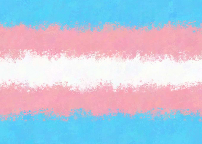 Transexual Pride Flag