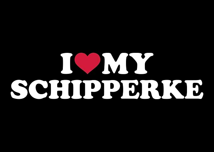 Schipperke